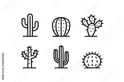 simple outline stroke icon items monoline icons style isolated on white background cactus (types): saguaro barrel prickly cholla organ hedgehog