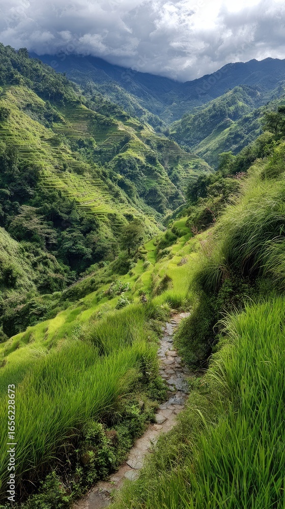 Fototapeta premium Mountain valley path through terraced rice fields under a cloudy sky