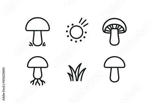 simple outline stroke icon items monoline icons style isolated on white background walk (mushroom): cap stem spore gill moss root
