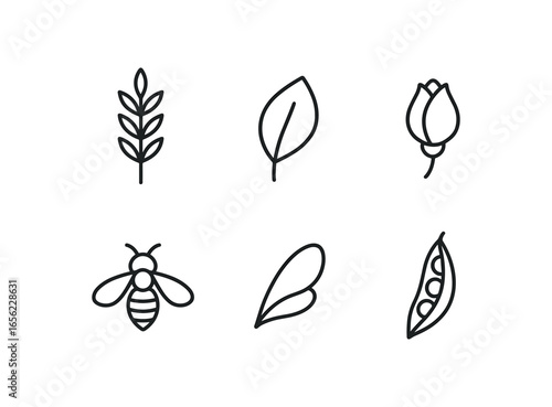 simple outline stroke icon items monoline icons style isolated on white background meadow (foraging): stalk petal bud bee wing pod