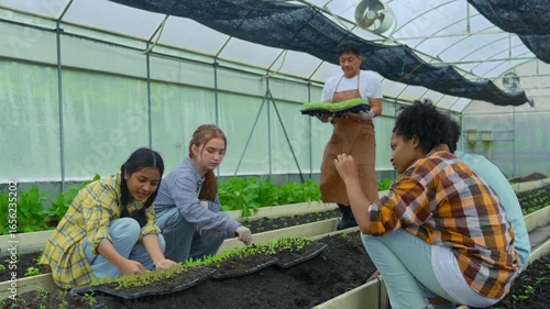 A group of agricultural students are studying organic vegetable cultivation in a greenhouse.