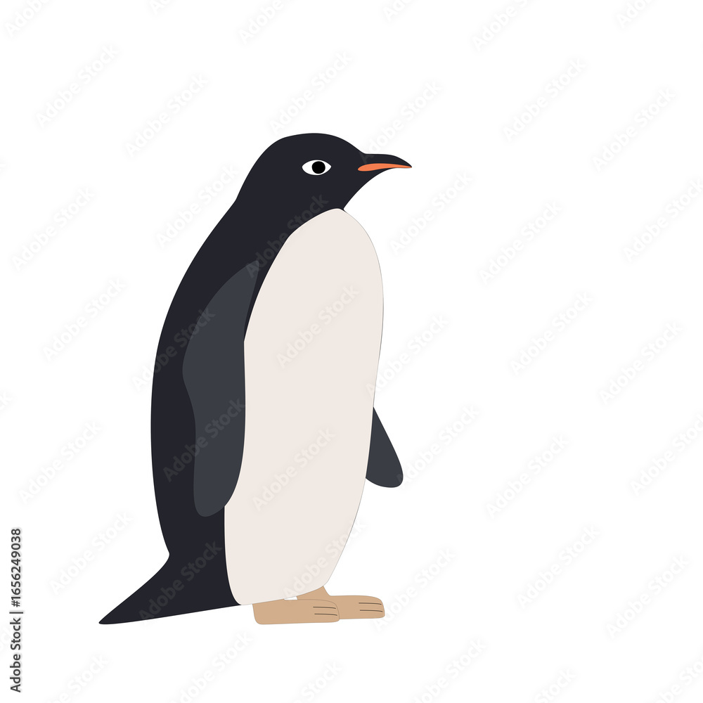 Fototapeta premium penguin on white background