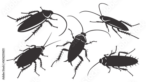 Collection of five stylized black cockroach silhouettes on a white background