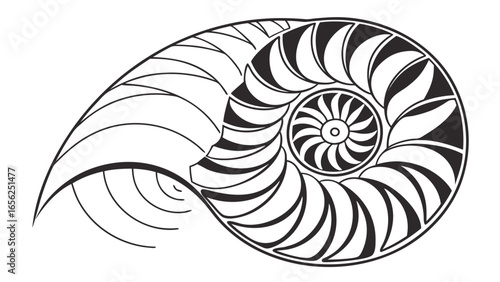 Stylized black and white illustration of a nautilus shell cross section showing its spiral chambers and central whorl