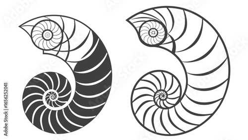 Two stylized nautilus shells showcasing the fibonacci sequence and golden ratio in their spiral patterns