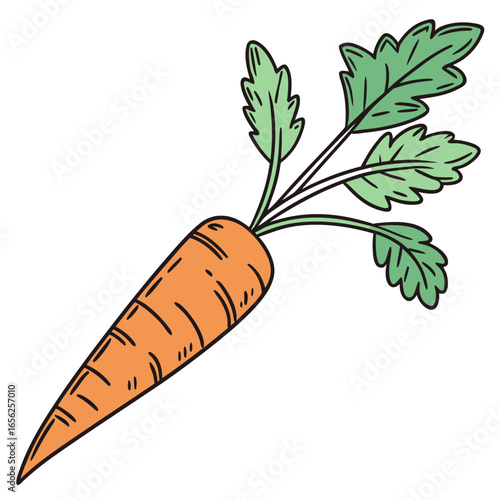 Illustration of a fresh carrot with green leaves, a healthy and nutritious root vegetable