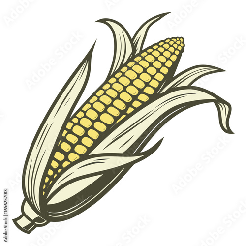 Illustration of a corn cob, a healthy and delicious vegetable for cooking and eating