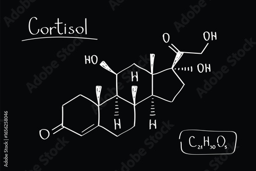 Cortisol Hormone Molecule Stress Hormone Structure for Endocrinology and Medical Research doodle hand draw