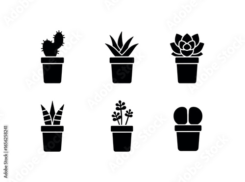 flat black solid icon items isolated on white background succulent jar (types): cactus aloe echeveria haworthia sedum lithops