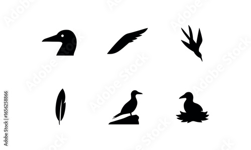 flat black solid icon items isolated on white background bird (gannet): beak wing dive plume cliff nest