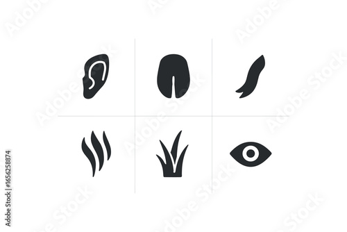 flat black solid icon items isolated on white background animal (elk calf): ear hoof tail fur grass eye