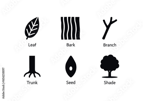 flat black solid icon items isolated on white background tree (elm): leaf bark branch trunk seed shade
