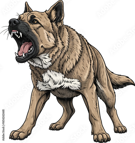 Armenian Gampr dog barking aggressive protective stance illustration