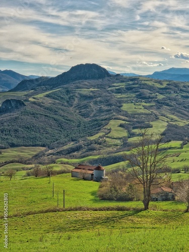 Colli Piacentini, Italia