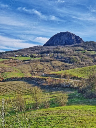 Colli Piacentini, Italia