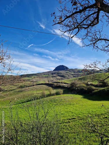 Colli Piacentini, Italia