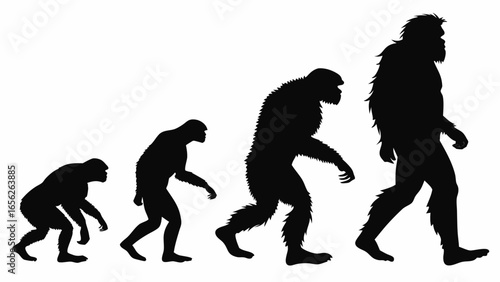 Evolution of man silhouette