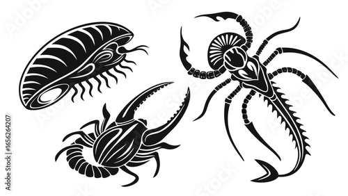 Illustration of three fantasy insects