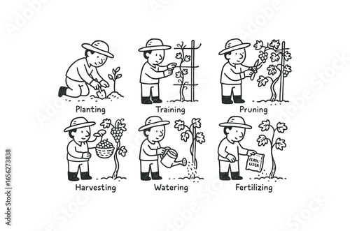 hand drawn cute doodle ink line art style line monochrome monochrome isolated on white background vine grower (tasks): planting training pruning harvesting watering fertilizing
