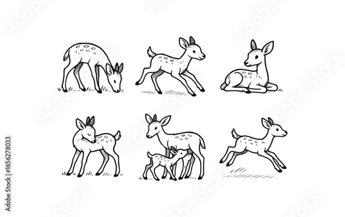 hand drawn cute doodle ink line art style line monochrome monochrome isolated on white background antelope calf (behaviors): grazing running resting grooming nursing leaping