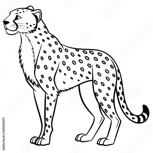 vector illustration of a leopard