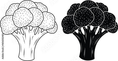 Broccoli vector illustration healthy food drawing outline