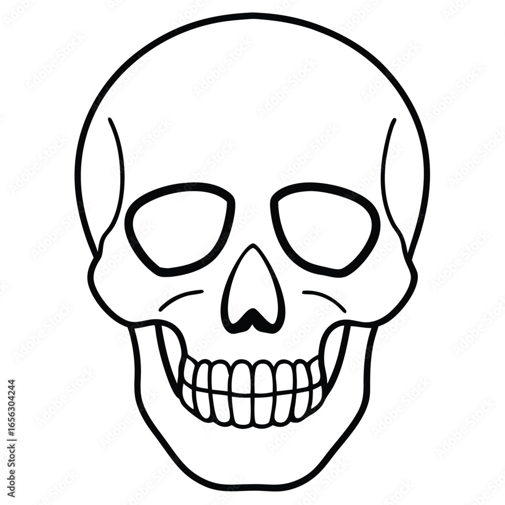 Fototapeta premium Clean Skull Outline Vector