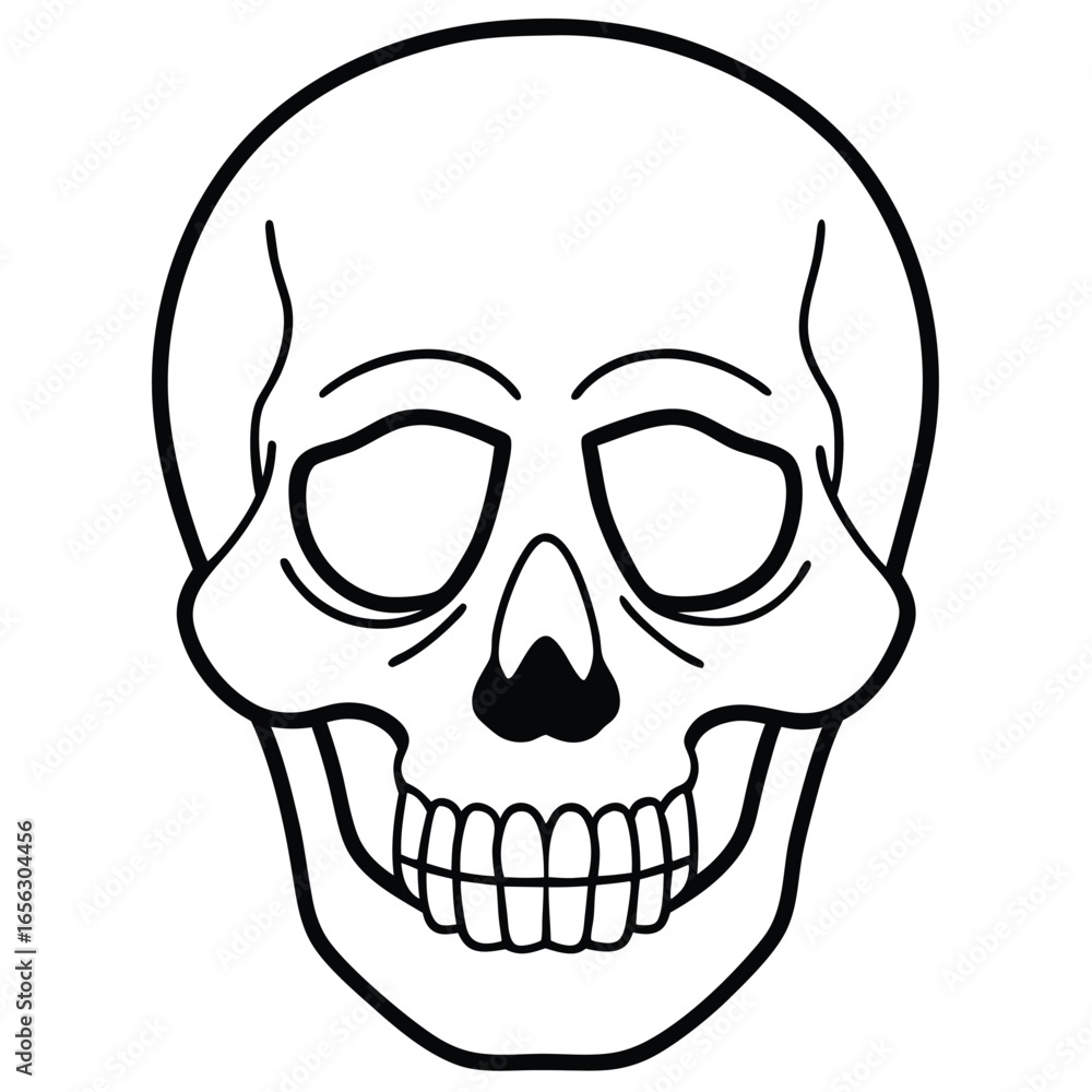Fototapeta premium Clean Skull Outline Vector