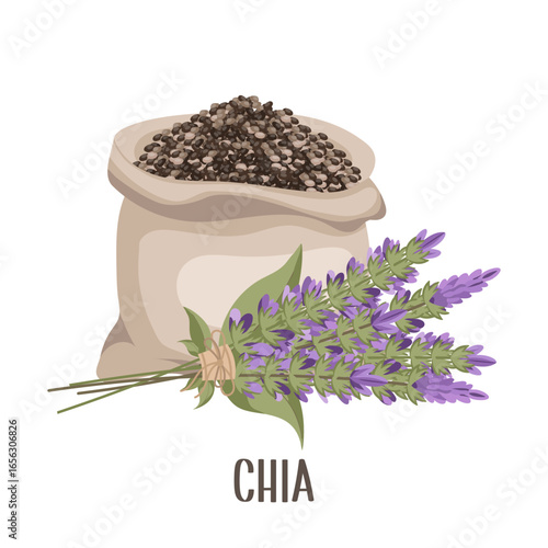 Chia seeds in a linen bag with a bouquet of chia flower or Salvia hispanica. Spice, condiment, granule or grain. Superfood illustration.