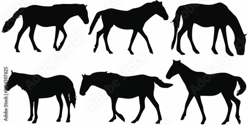 Horse Silhouettes8.eps