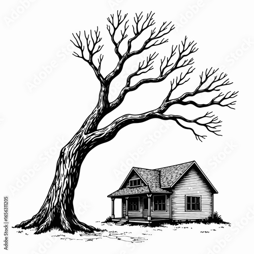 Broken tree limb near house in detailed illustration style, showing intricate branches and a charming farmhouse. Scene captures nature's beauty and ruggedness with tree limb extending over home,