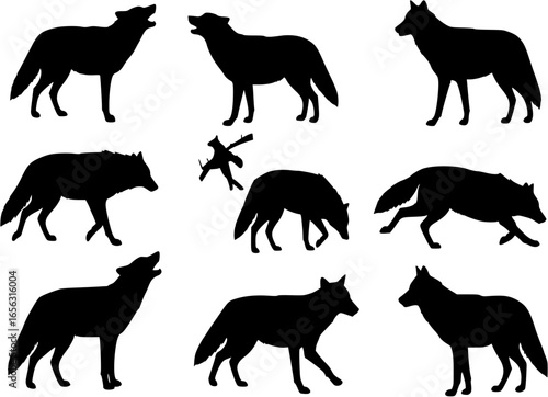 Coyote silhouette vector illustration set.
