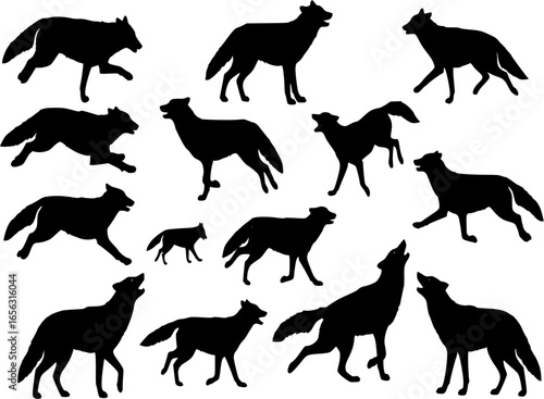 Coyote silhouette vector illustration set.
