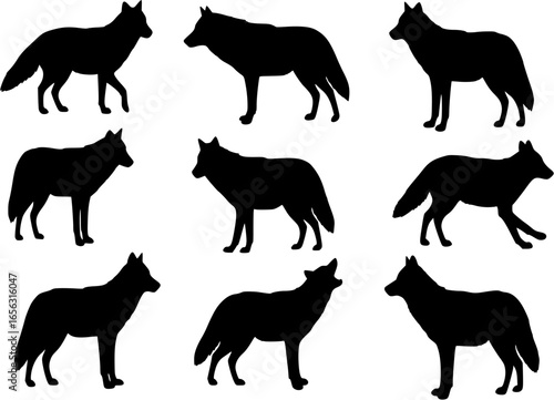 Coyote silhouette vector illustration set.
