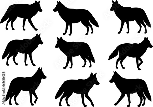 Coyote silhouette vector illustration set.
