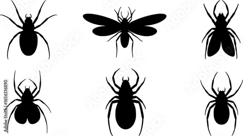 Collection of black silhouette insects and spiders on white background
