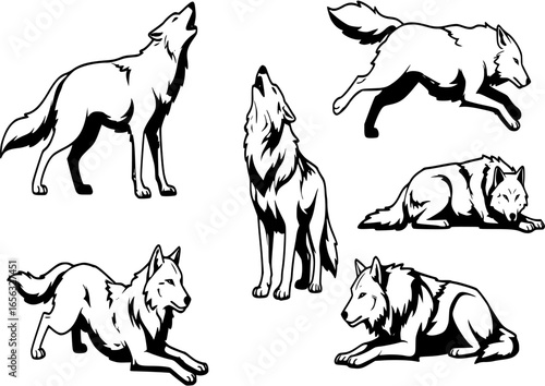set of wolves vector

