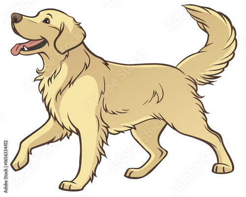 A Golden Retriever dog. The dog is walking with its tongue out and its tail wagging, appearing happy and energetic. The background is plain white, which makes the dog the clear focus of the image.