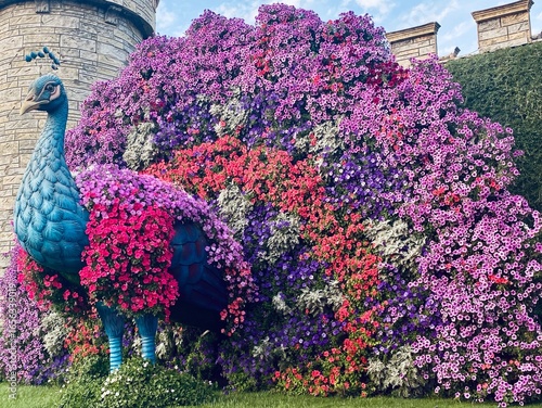 Dubai miracle garden 