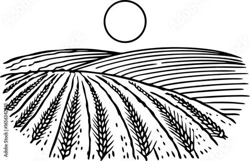 Wheat fields landscape illustration harvest season, farmland growth, rural scenery under sun, agricultural countryside