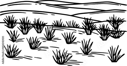 Desert landscape with bushes and distant hills, dry climate vegetation and natural arid terrain illustration