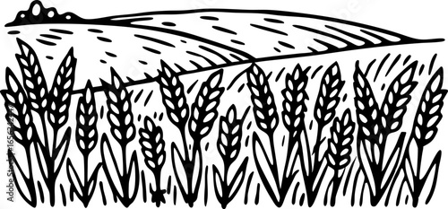 Wheat field landscape illustration hand drawn grains, ripe ears in countryside farmland with rolling hills
