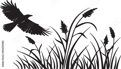 A silhouette drawing depicts a bird in flight amidst tall grass and reeds.
