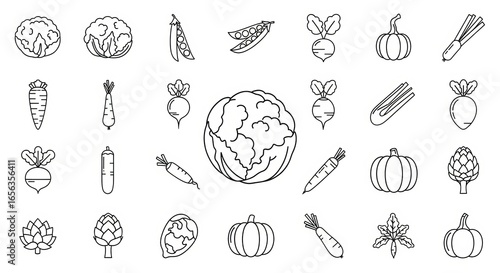 A collection of fresh, healthy vegetables depicted in a clean, minimalist line art style.