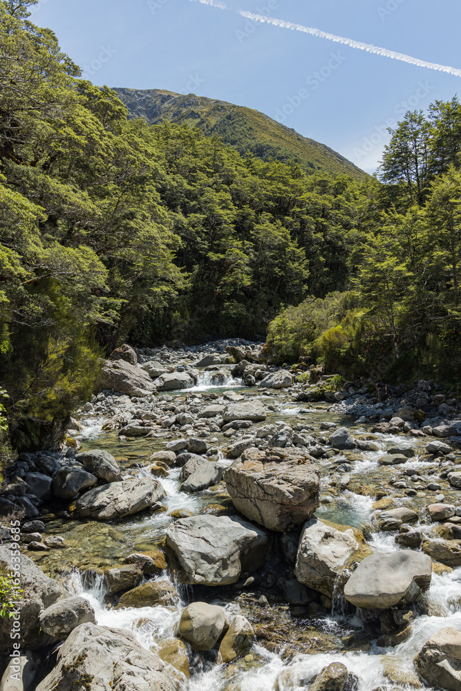 Obraz premium ニュージーランド アーサーズ・パス国立公園のドブソン・ネイチャー・ウォークを流れるビーリー川