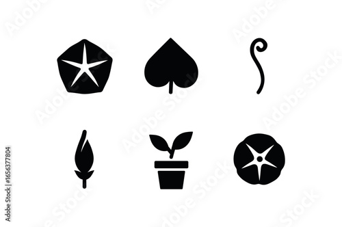 flat black solid icon items isolated on white background plant (morning glory): petal leaf vine bud pot bloom