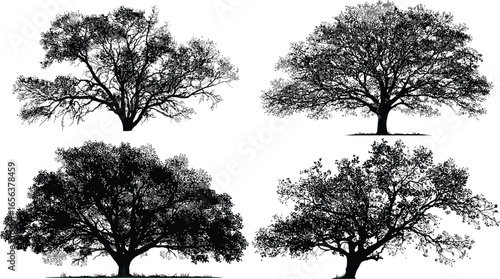 Tree Silhouettes, Nature, Forest VECTOR
