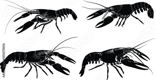 Black Crawfish Silhouette, Seafood Illustration VECTOR