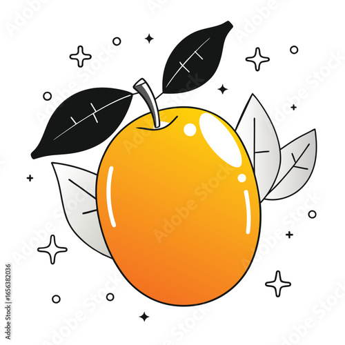 vector illustration of an orange mango