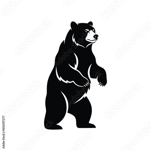 A majestic black bear stands tall on its hind legs, showcasing its powerful physique and imposing presence against a stark white background.